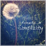 Simplicity, Joyful Habits, Happiness, Back to Basics, Simplify, Mindset, Life Coach, Emily Madill, LovingLife