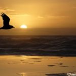 Freedom in Our thoughts, Mindset, Mindfulness, Inner Peace, Self-Worth, Self-Care, Positivity, Healthy Mindset, Inner Connection, Life Coach, Emily Madill, LovingLife