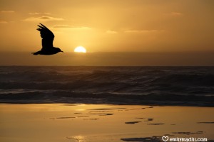 Freedom in Our thoughts, Mindset, Mindfulness, Inner Peace, Self-Worth, Self-Care, Positivity, Healthy Mindset, Inner Connection, Life Coach, Emily Madill, LovingLife