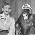 Laughter, Laughter is the Best Medicine, Humour, Happiness, Joyful Habits, Happiness Tips, Life Coach, Emily Madill, LovingLife