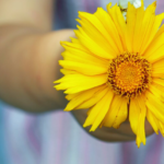 Receiving, Receive, Self-Care, Open Heart, Love Yourself, Self-Love, Self-Worth, Life Coach, Emily Madill, LovingLife