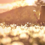 Self-Care, Emily Madill, Self-Care Practice, Joyful Habits, Self-Worth, Self-Empowerment, Life Coach, LovingLife