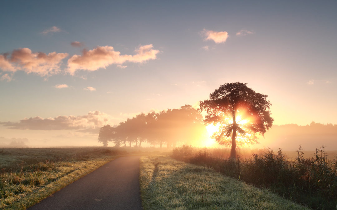 11 Hints it’s Time to Surrender and Take the Path of Least Resistance