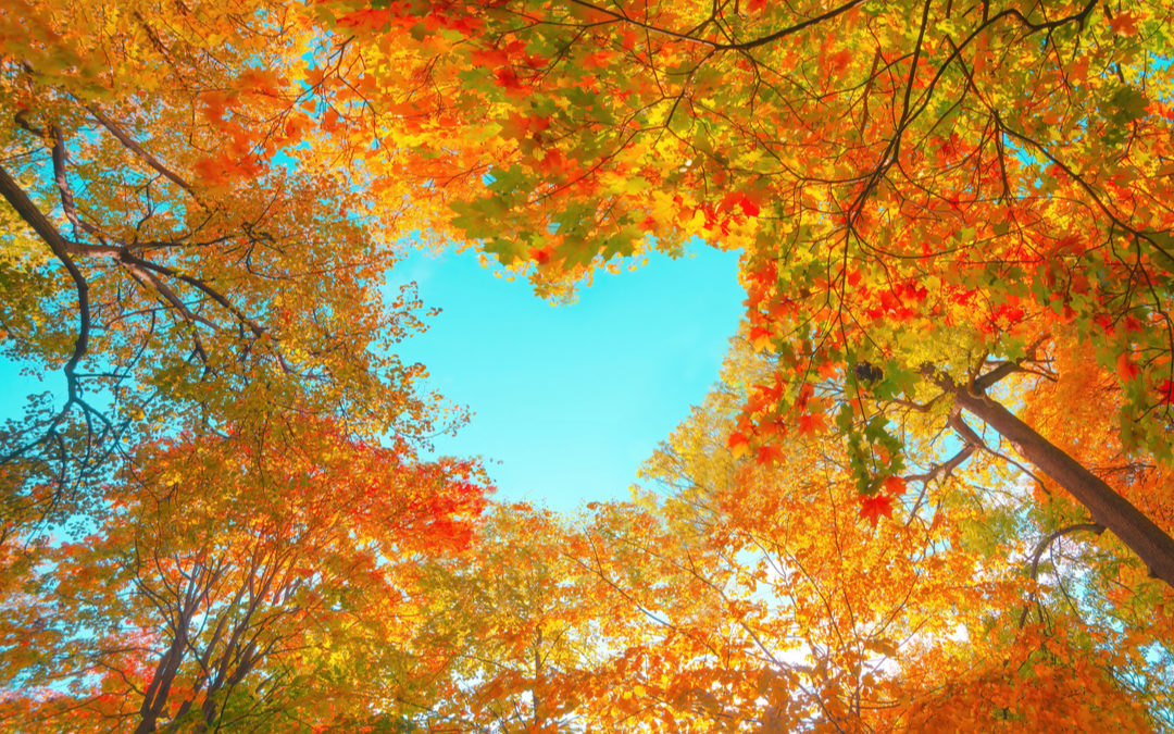 7 Ways Gratitude Brightens Our View