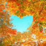 7 Ways Gratitude Brightens Our View - Emily Madill