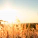 11 Simple Strategies to Keep Your Spirits Bright - Emily Madill