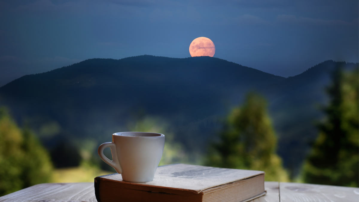 Adopting A Self-Care Mindset That Will Stick - Emily Madill