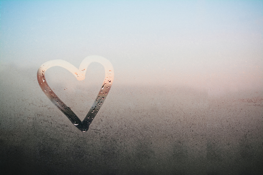 Love Starts With You, Peace, Love, Shared Humanity, Inner Voice, Inner Wisdom, Connected, Inner Truth, Expand Love, Compassion, Gratitude, Joyful Habits, Happiness, Empowered Living, Empowering Women, Inspiring Authors, Emily Madill