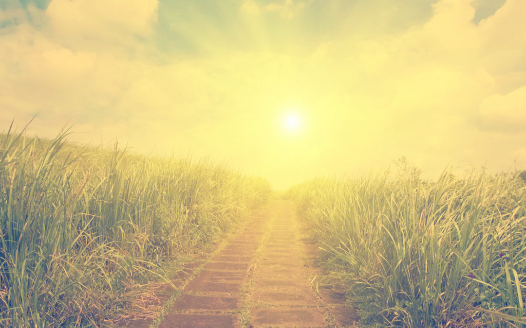 5 Mindful Ways to Stay on Track with Your Goals