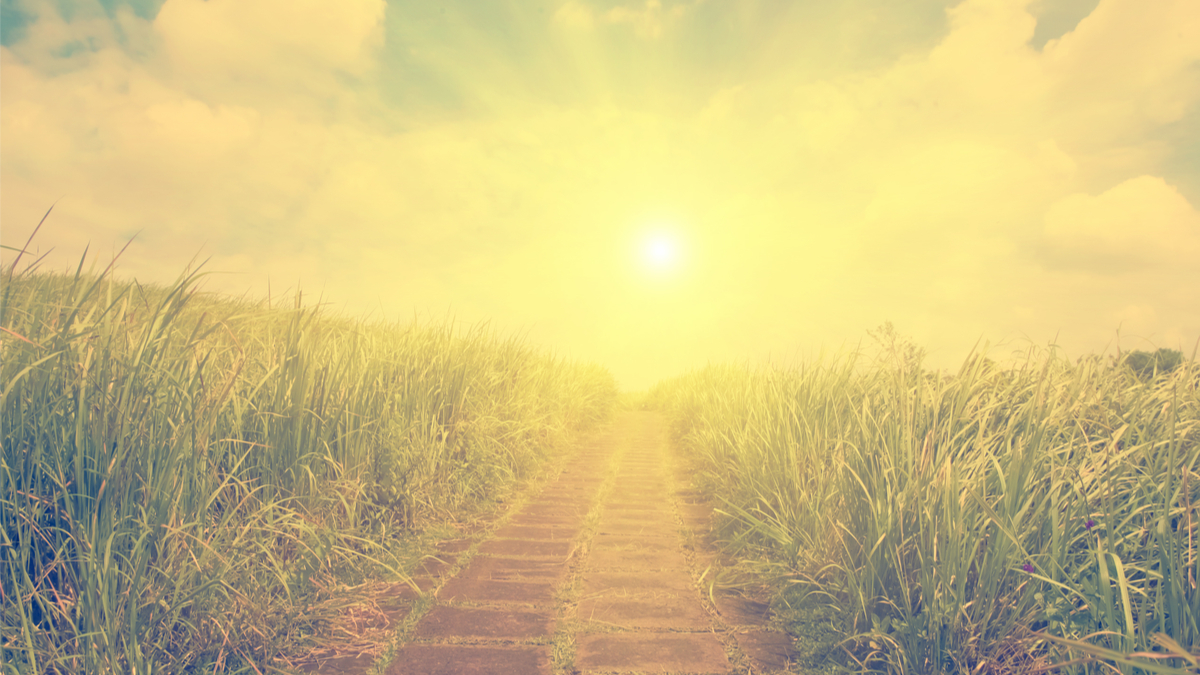 5 Mindful Ways to Stay on Track with Your Goals - Emily Madill