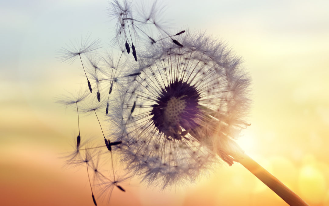 Why It’s Okay to Surrender and Stop Trying So Hard