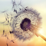 Why It's Okay to Surrender and Stop Trying so Hard