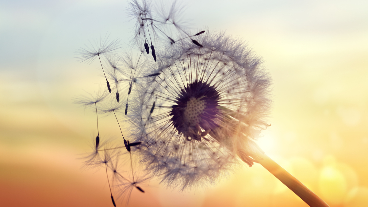 Why It's Okay to Surrender and Stop Trying so Hard