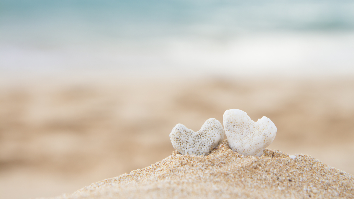 The Value in Heart-Centered Living – Emily Madill Heart-Centered Living