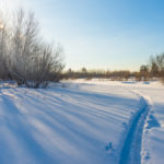 The Best Way to Stay on Your Right Track - Emily Madill