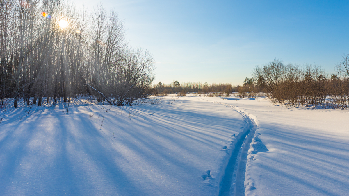 The Best Way to Stay on Your Right Track - Emily Madill