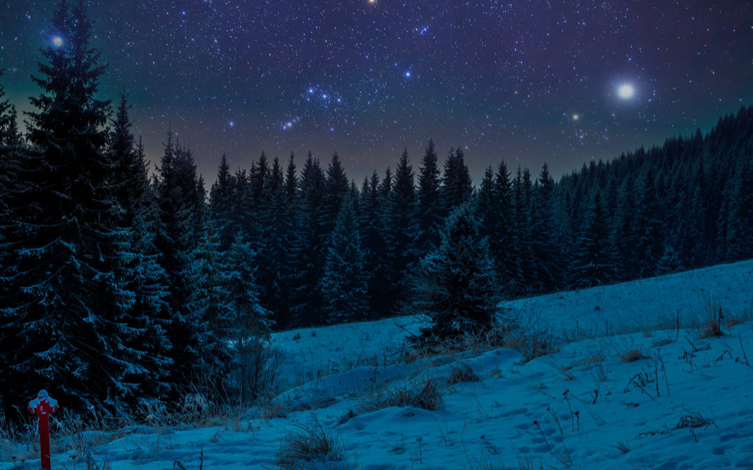 Happy Solstice