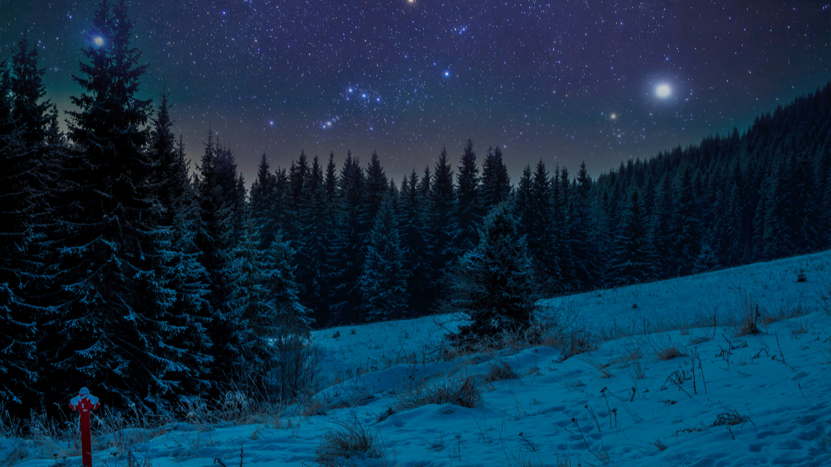 Winter Solstice Emily Madill Winter Solstice by Emily Madill