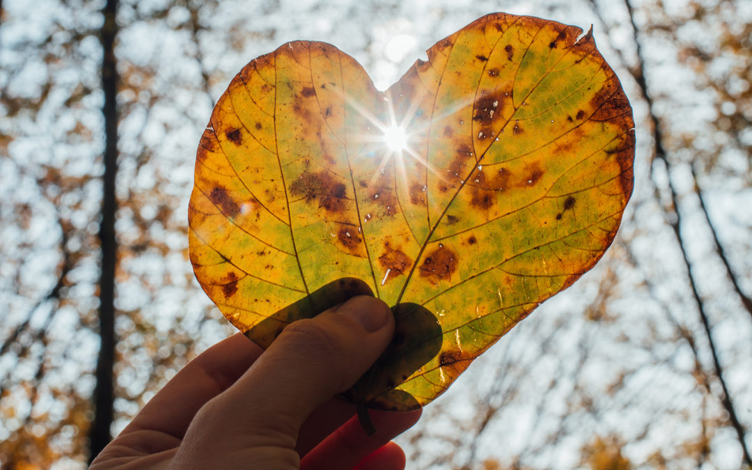 Celebrating the Fall Equinox