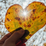 Fall Equinox Poem
