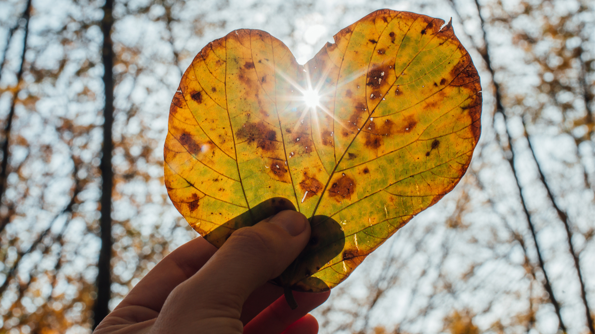 Fall Equinox Poem