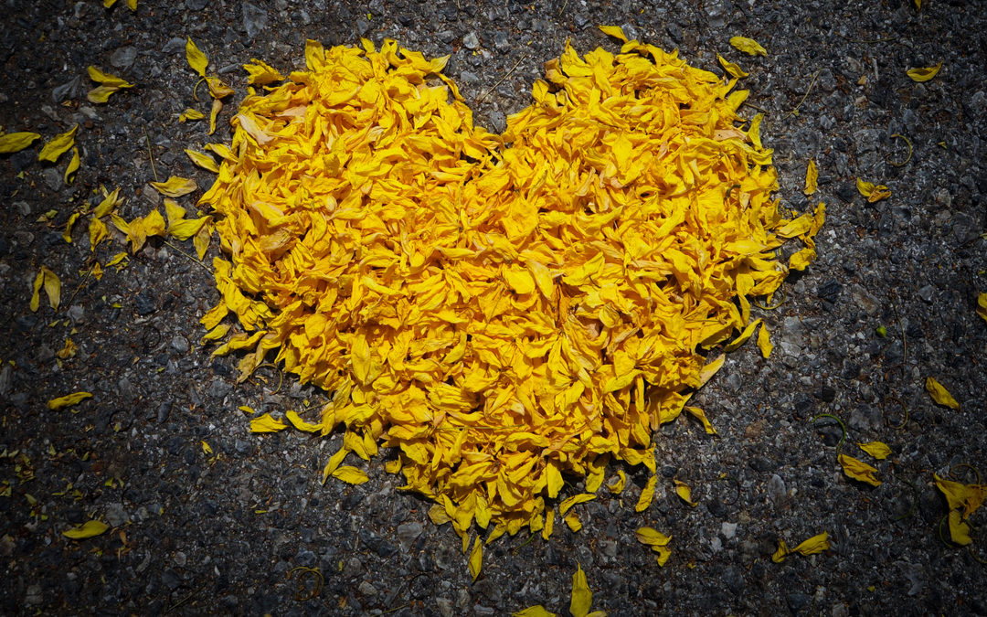 What Losing a Loved One Can Teach Us About Living