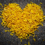 Grief, Loss, Losing a Loved One,