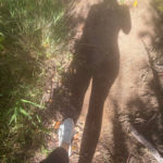 Image of woman walking in woods with her shadow signifying remembrance, presence, and reflection.