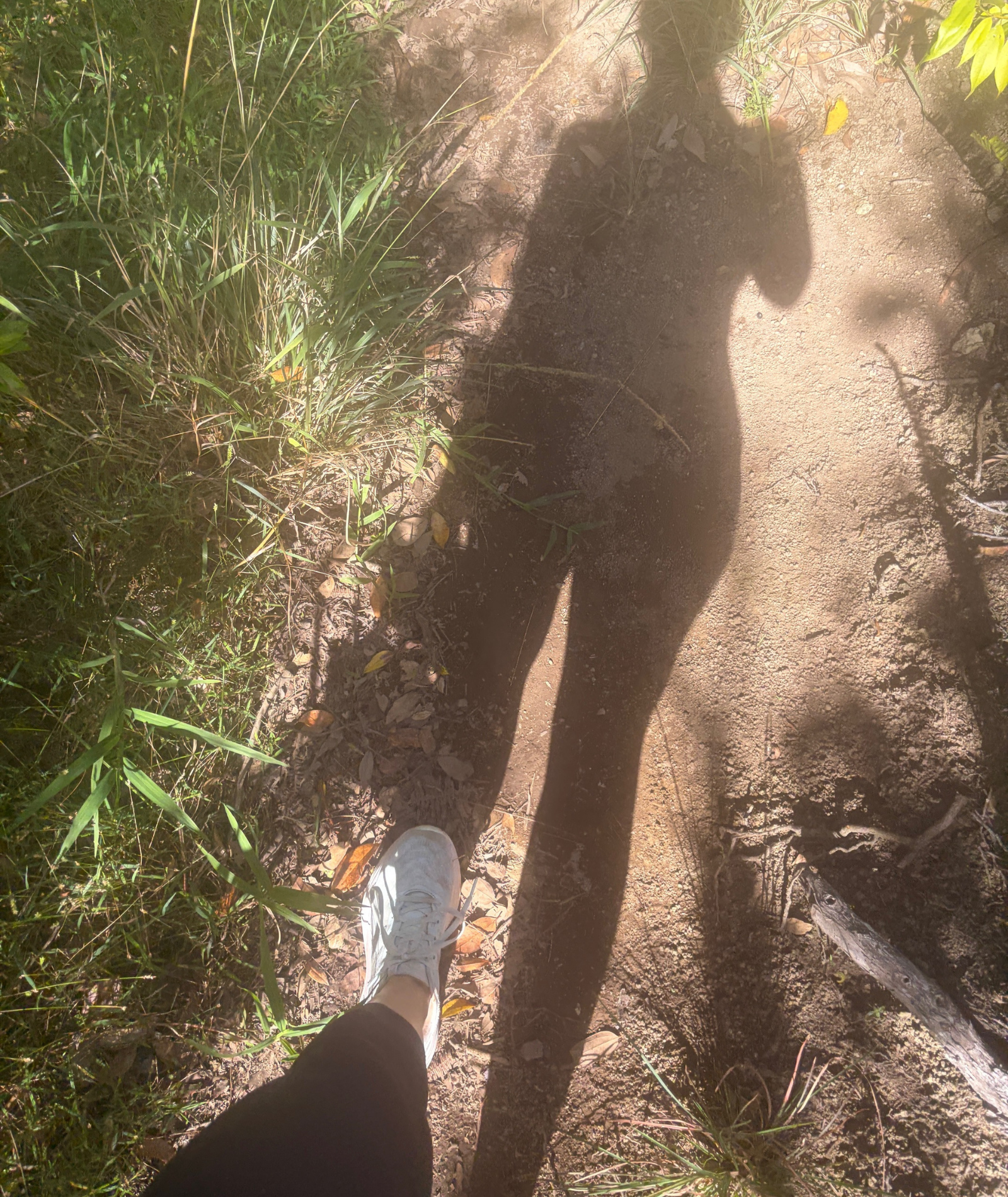 Image of woman walking in woods with her shadow signifying remembrance, presence, and reflection.